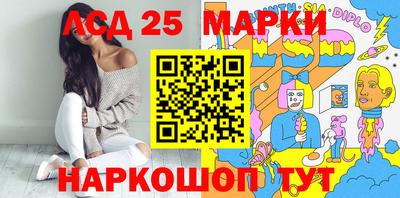 гашик Кингисепп