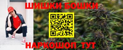 гашик Кингисепп