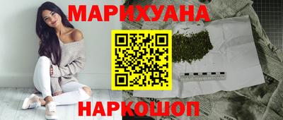 гашик Кингисепп