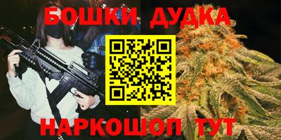 гашик Кингисепп