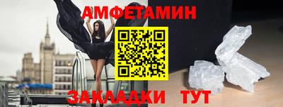 гашик Кингисепп
