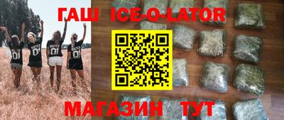 гашик Кингисепп