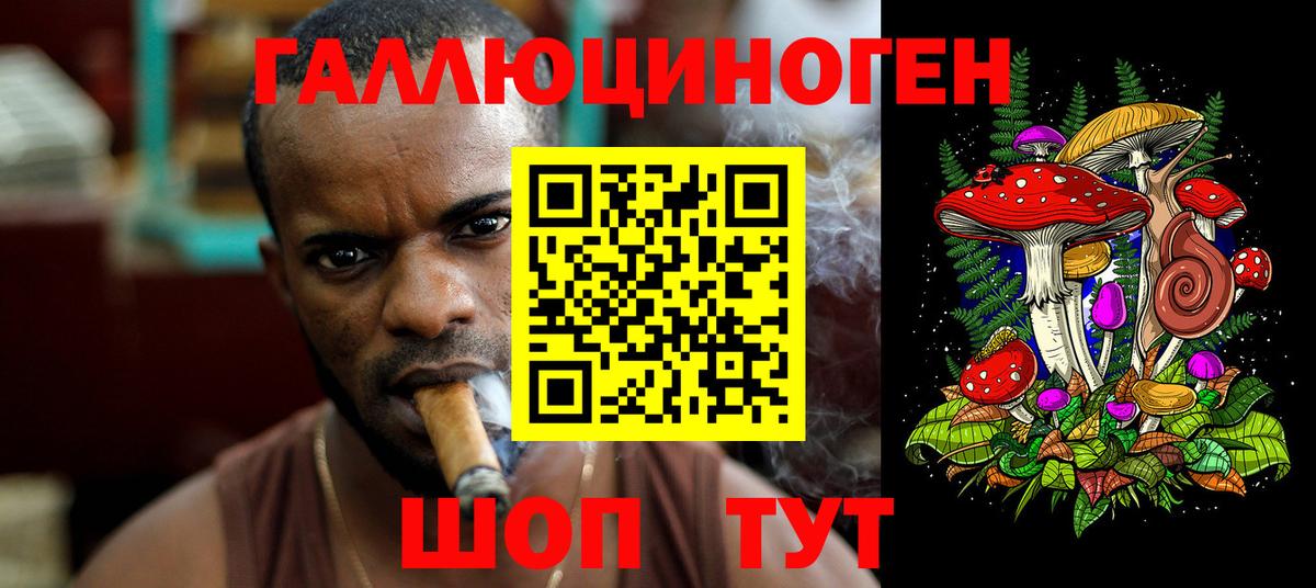 Армавир  Псилоцибиновые грибы ЛСД  Вход с VPN 
