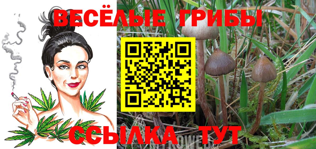 Псилоцибиновые грибы ЛСД Армавир